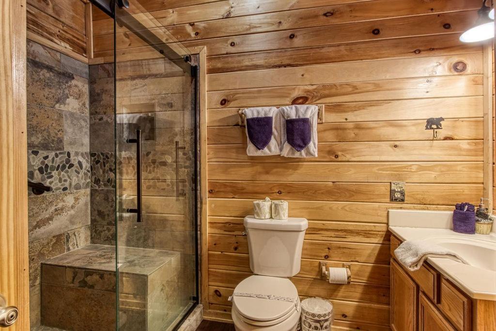 Highland Dream, Hot Tub, 1089 Free Tickets Each Paid Day, Dollywood And More Sevierville Room photo